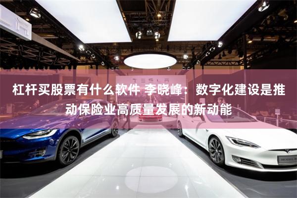 杠杆买股票有什么软件 李晓峰：数字化建设是推动保险业高质量发展的新动能
