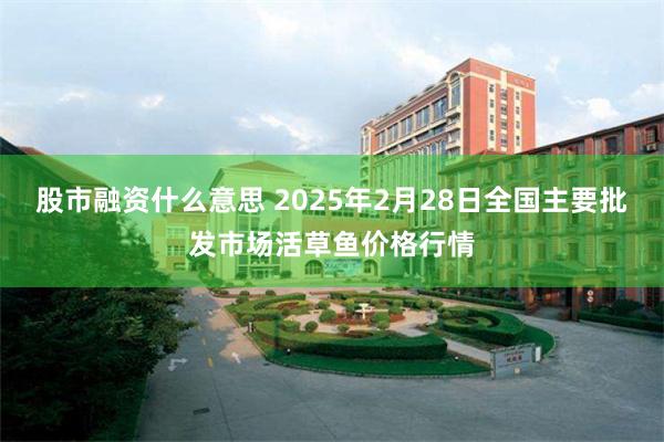 股市融资什么意思 2025年2月28日全国主要批发市场活草鱼价格行情
