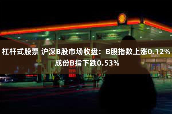 杠杆式股票 沪深B股市场收盘：B股指数上涨0.12% 成份B指下跌0.53%