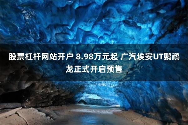 股票杠杆网站开户 8.98万元起 广汽埃安UT鹦鹉龙正式开启预售