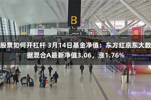 股票如何开杠杆 3月14日基金净值：东方红京东大数据混合A最新净值3.06，涨1.76%