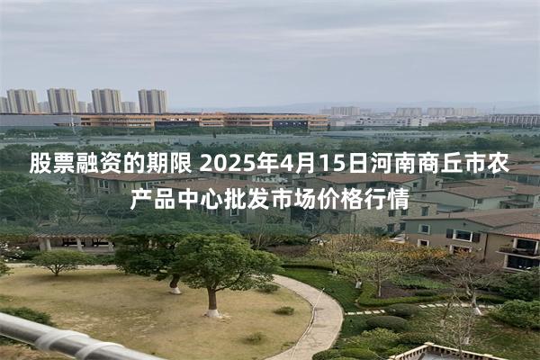 股票融资的期限 2025年4月15日河南商丘市农产品中心批发市场价格行情