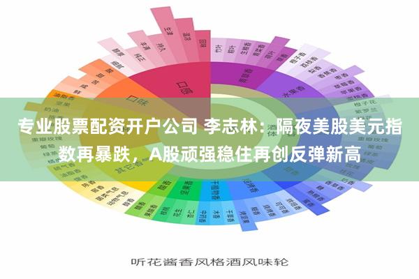 专业股票配资开户公司 李志林：隔夜美股美元指数再暴跌，A股顽强稳住再创反弹新高