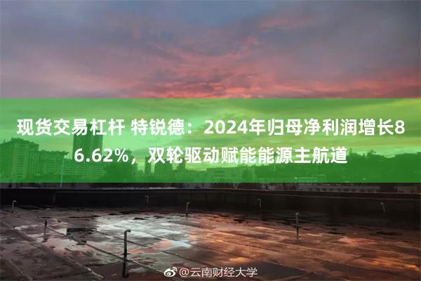 现货交易杠杆 特锐德：2024年归母净利润增长86.62%，双轮驱动赋能能源主航道