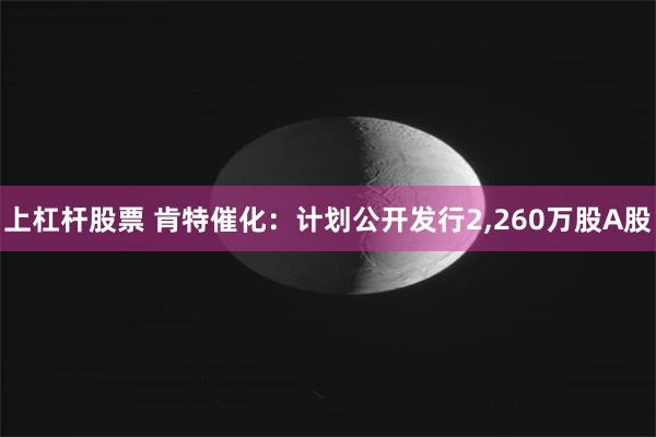 上杠杆股票 肯特催化：计划公开发行2,260万股A股