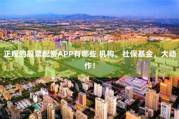 正规的股票配资APP有哪些 机构、社保基金，大动作！