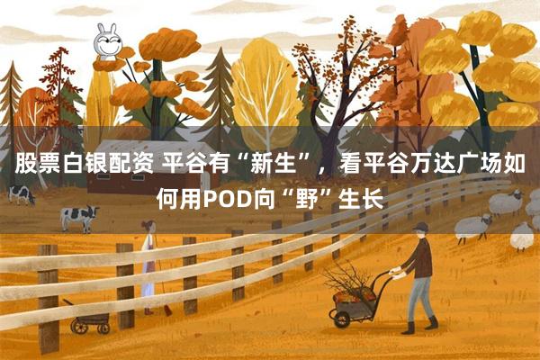 股票白银配资 平谷有“新生”，看平谷万达广场如何用POD向“野”生长