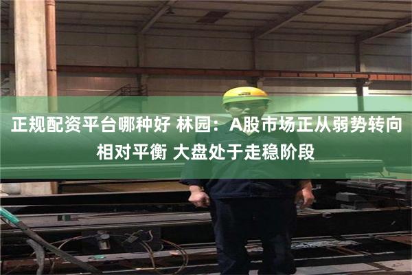 正规配资平台哪种好 林园：A股市场正从弱势转向相对平衡 大盘处于走稳阶段