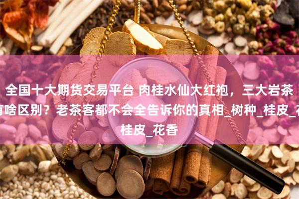 全国十大期货交易平台 肉桂水仙大红袍，三大岩茶都有啥区别？老茶客都不会全告诉你的真相_树种_桂皮_花香