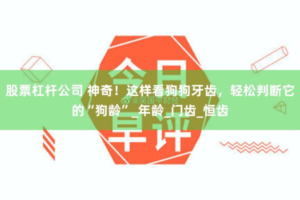 股票杠杆公司 神奇！这样看狗狗牙齿，轻松判断它的“狗龄”_年龄_门齿_恒齿